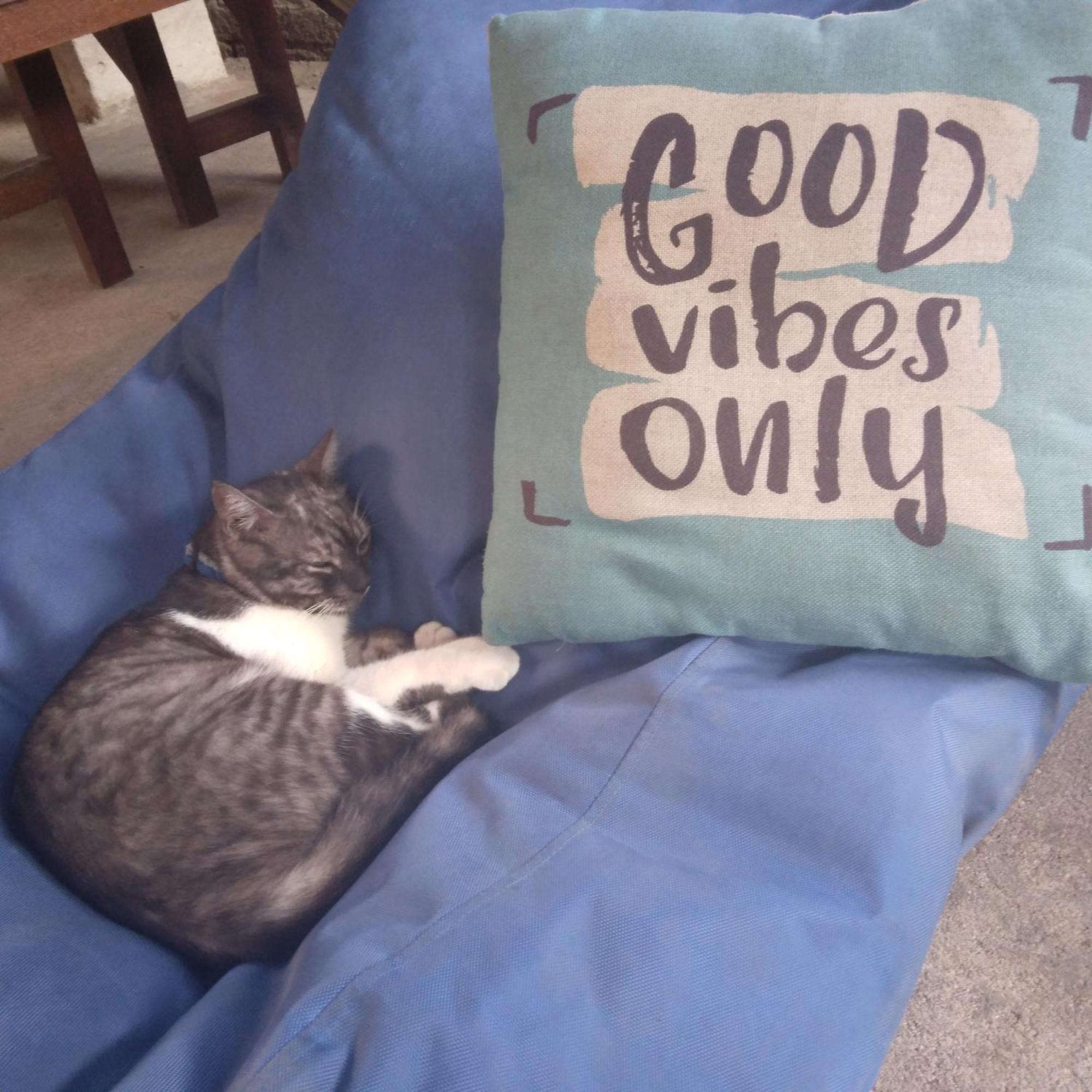 Good Vibes Bungalows ギリ・トラワンガン エクステリア 写真
